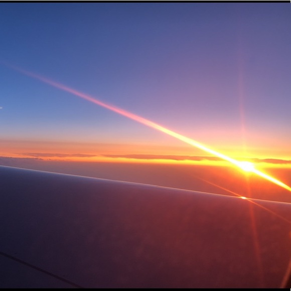 Meet your Posher, Josie - Picture 3 of 4